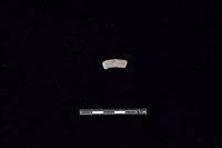 藏品(陶環)的圖片